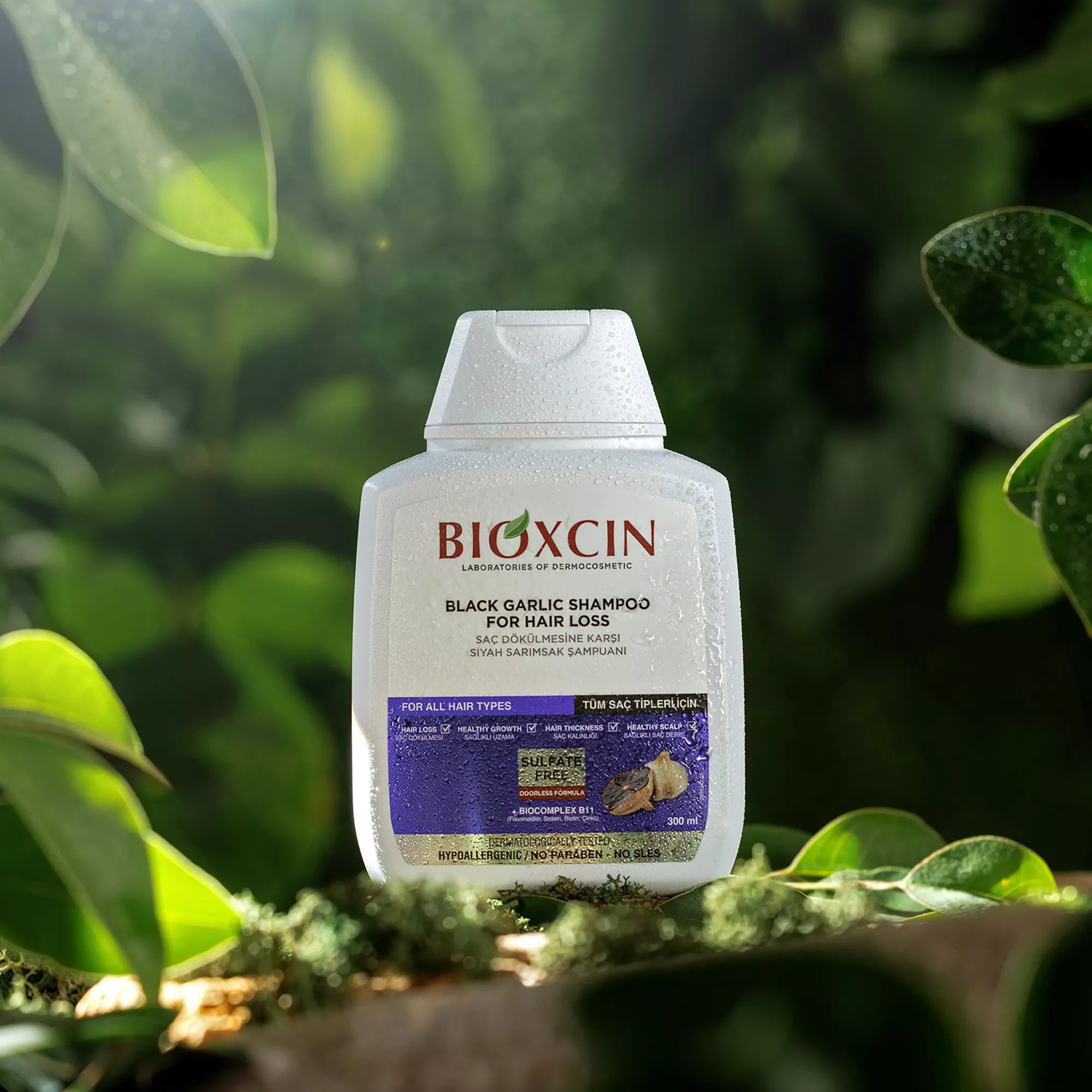 صورة إضافية للمنتج: شامبو الثوم الأسود 300 مل | بيوكسين Bioxcin